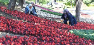 Osmangazi’nin her yeri çiçek kokuyor