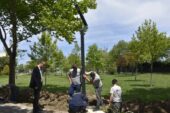 Karacabey Atatürk Kültür Parkı’nda aydınlatma dönüşümü başladı