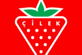 ÇİLEK, TÜRKİYE’NİN EN KAPSAMLI ÇOCUK VE AİLE ETKİNLİĞİ YARATICI ÇOCUK FESTİVALİ’NDE