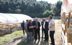 Gemlik Belediyesi Kurban Pazarı’nda Satışlar Başladı