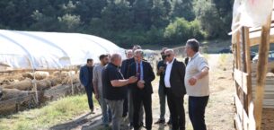 Gemlik Belediyesi Kurban Pazarı’nda Satışlar Başladı