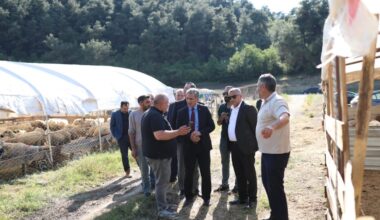 Gemlik Belediyesi Kurban Pazarı’nda Satışlar Başladı