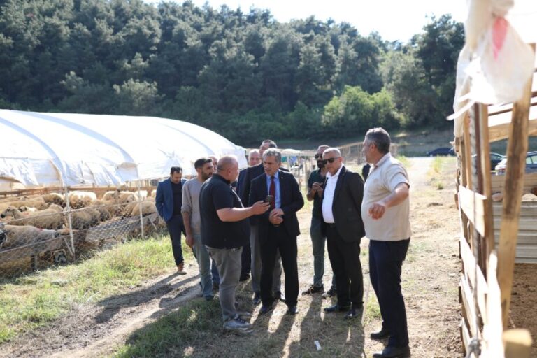 Gemlik Belediyesi Kurban Pazarı’nda Satışlar Başladı