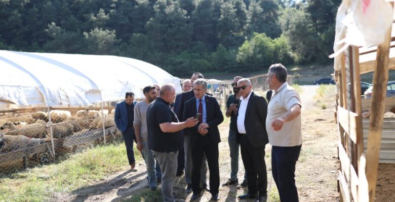 Gemlik Belediyesi Kurban Pazarı’nda Satışlar Başladı