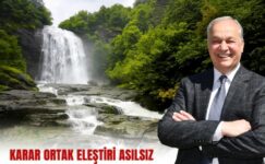KARAR ORTAK ELEŞTİRİ ASILSIZ