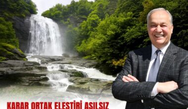 KARAR ORTAK ELEŞTİRİ ASILSIZ