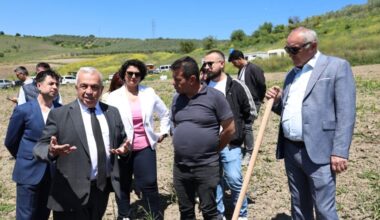 Nilüfer Belediyesi Konaklı’ya 800 zeytin fidanı dikti