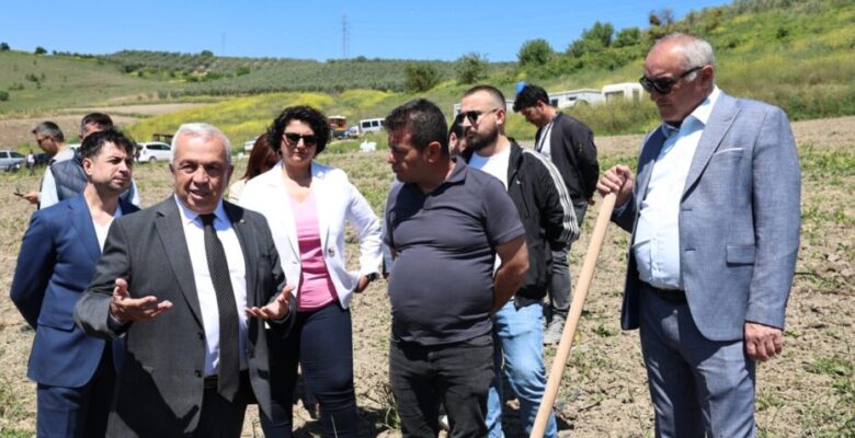 Nilüfer Belediyesi Konaklı’ya 800 zeytin fidanı dikti