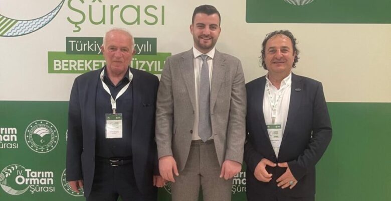 Ahşap palet sektöründen 18. madde çağrısı:  Palet havuzu modeli için hazırız