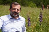 GÜRSU’NUN GÖK SIĞIRKUYRUĞU  ÇİÇEKLERİNİ AÇTI