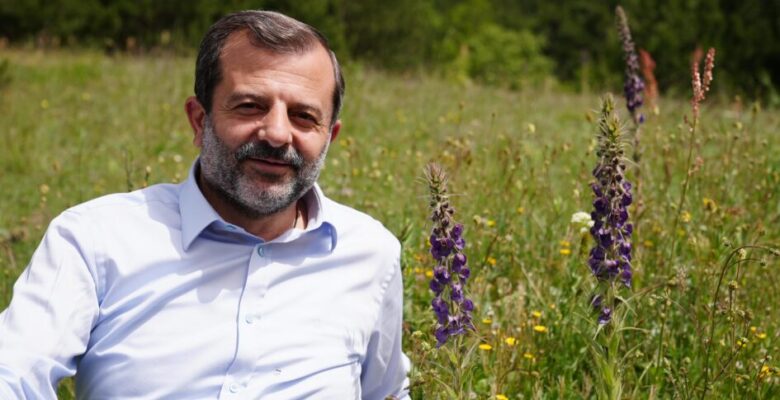GÜRSU’NUN GÖK SIĞIRKUYRUĞU  ÇİÇEKLERİNİ AÇTI