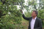  ORHAN SARIBAL: “DON FELAKETİNİN MALİYETİ 21,5 MİLYAR TL, ÇİFTÇİYE SADECE 1,1 MİLYAR TL ÖDENDİ”