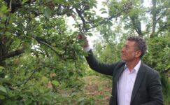  ORHAN SARIBAL: “DON FELAKETİNİN MALİYETİ 21,5 MİLYAR TL, ÇİFTÇİYE SADECE 1,1 MİLYAR TL ÖDENDİ”