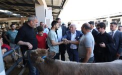 Başkan Bozbey’den Kurban Pazarı’na ziyaret