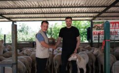 İNEGÖL MODERN HAYVAN PAZARI BEŞİNCİ KEZ BAYRAM SEVİNCİ YAŞATTI