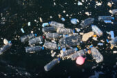 Doğayla Uyumlu Yaşamalıyız: Plastik Kirliliğine Son Ver, Yaşamı Koru!