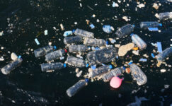 Doğayla Uyumlu Yaşamalıyız: Plastik Kirliliğine Son Ver, Yaşamı Koru!