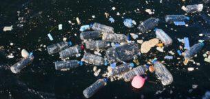 Doğayla Uyumlu Yaşamalıyız: Plastik Kirliliğine Son Ver, Yaşamı Koru!