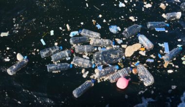Doğayla Uyumlu Yaşamalıyız: Plastik Kirliliğine Son Ver, Yaşamı Koru!