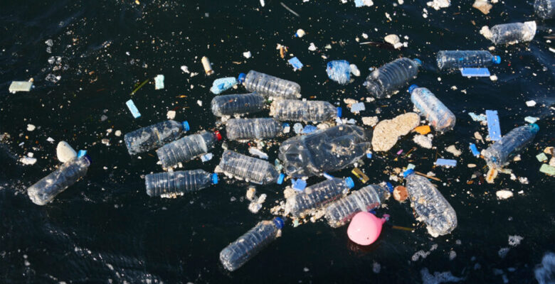 Doğayla Uyumlu Yaşamalıyız: Plastik Kirliliğine Son Ver, Yaşamı Koru!
