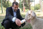 GÜRSU’YA  BUTİK HAYVANAT BAHÇESİ