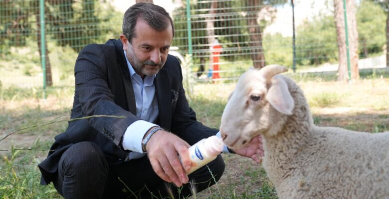 GÜRSU’YA  BUTİK HAYVANAT BAHÇESİ