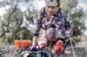 Kuraklığa ve Açlığa Büyük Adım Yasası Genel Kurul’da               