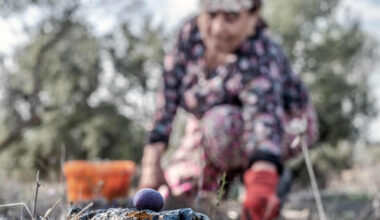 Kuraklığa ve Açlığa Büyük Adım Yasası Genel Kurul’da               