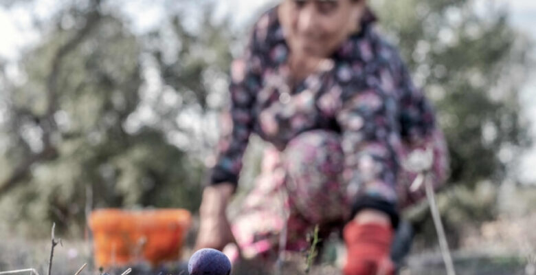 Kuraklığa ve Açlığa Büyük Adım Yasası Genel Kurul’da               