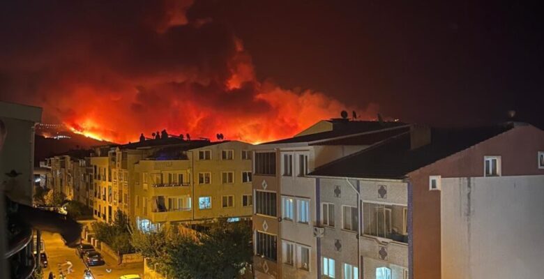 EMEP Bursa İl Örgütü: Kestel ve Gürsu havadan müdahale edilmediği için yanıyor