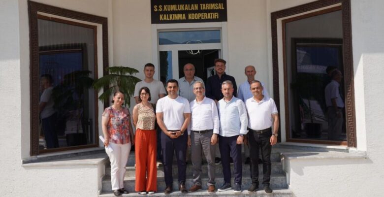GÜRSU’DA YEŞİL DÖNÜŞÜM BAŞLADI