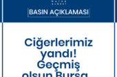 MMO Ahmet İhsan Taşkınsel; “Ciğerlerimiz yandı! Geçmiş olsun Bursa”