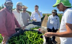 BAŞKAN ÖZEL, TARIM İŞÇİLERİNİ TARLADA ZİYARET ETTİ