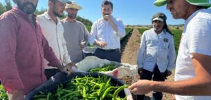 BAŞKAN ÖZEL, TARIM İŞÇİLERİNİ TARLADA ZİYARET ETTİ
