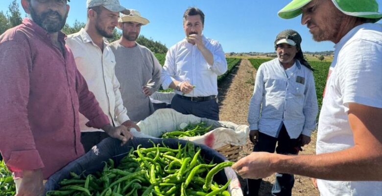 BAŞKAN ÖZEL, TARIM İŞÇİLERİNİ TARLADA ZİYARET ETTİ