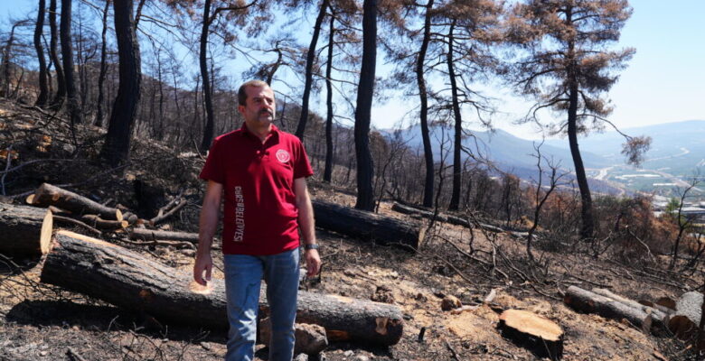 BAŞKAN IŞIK: GÜRSU’DA İLK FİDANLARI KARAHIDIR’DA DİKECEĞİZ