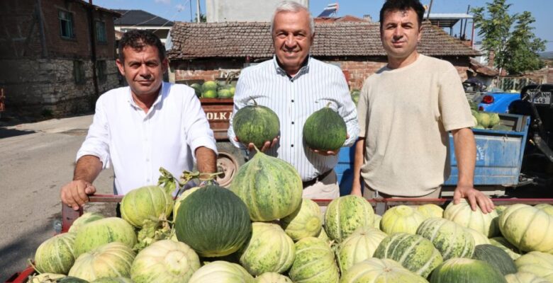 Nilüfer Konaklı’daki kavun üretimi iki kat arttı