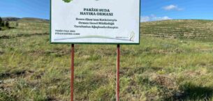 Sezen Aksu, Pakize Suda’nın adını Hatıra Ormanı ile yaşatacak