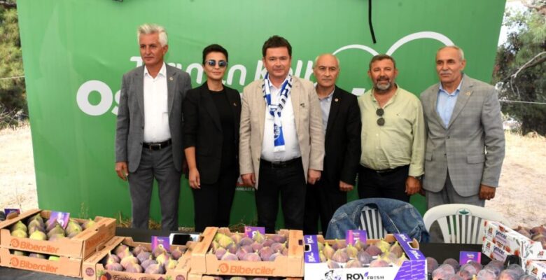 Bursa’nın dünyaca ünlü siyah incirleri Osmangazi’de yarıştı