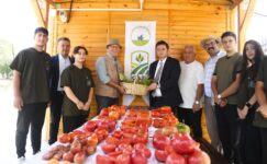 Osmangazi Belediyesi ata tohumlarını geleceğe taşıyor