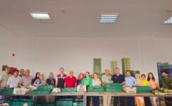 GEMLİK PROTOKOLÜNDEN İNCİR ÜRETİCİLERİNE ZİYARET