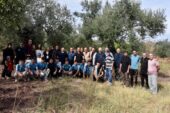 Gemlik Kurşunlu’da Zeytin Festivali Coşkusu