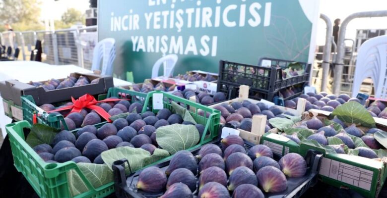 11. Akçalar İncir Festivali 14 Eylül’de