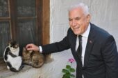 BÜYÜKŞEHİR’DEN CAN DOSTLARA ŞEFKAT ELİ