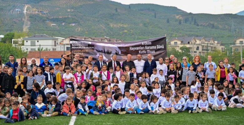 Gemlik Belediyesi’nden Hayvan Rehabilitasyonunda Bir İlk: “Önce Eğit, Sonra Sahiplendir”