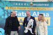İNEGÖL BELEDİYESİ’NDEN CAN DOSTLARINA YENİ YUVA