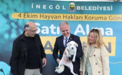 İNEGÖL BELEDİYESİ’NDEN CAN DOSTLARINA YENİ YUVA
