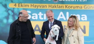 İNEGÖL BELEDİYESİ’NDEN CAN DOSTLARINA YENİ YUVA