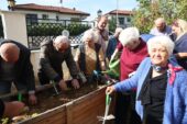 Nilüfer’de yaşlıların ellerinden toprağa can suyu
