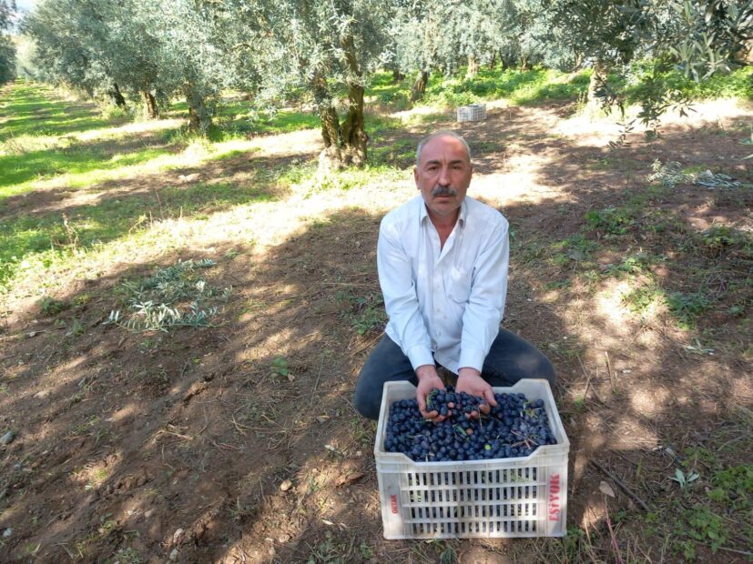 CHP’li Eşiyok’tan Marmarabirlik’e sert tepki: “Bir avuç üyeli kooperatif kadar olamadınız”